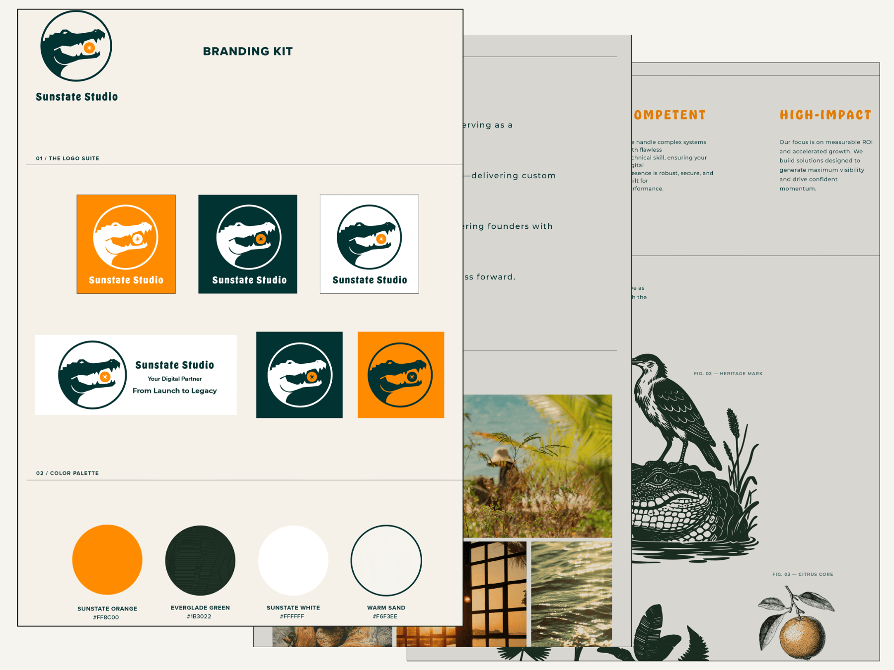 custom website design for small business