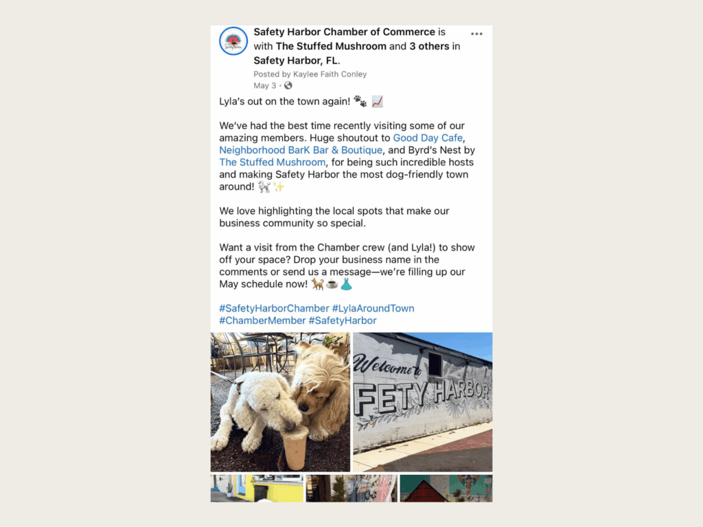 High-performing social media post on Safety Harbor Chamber account, managed by Sunstate Studio.