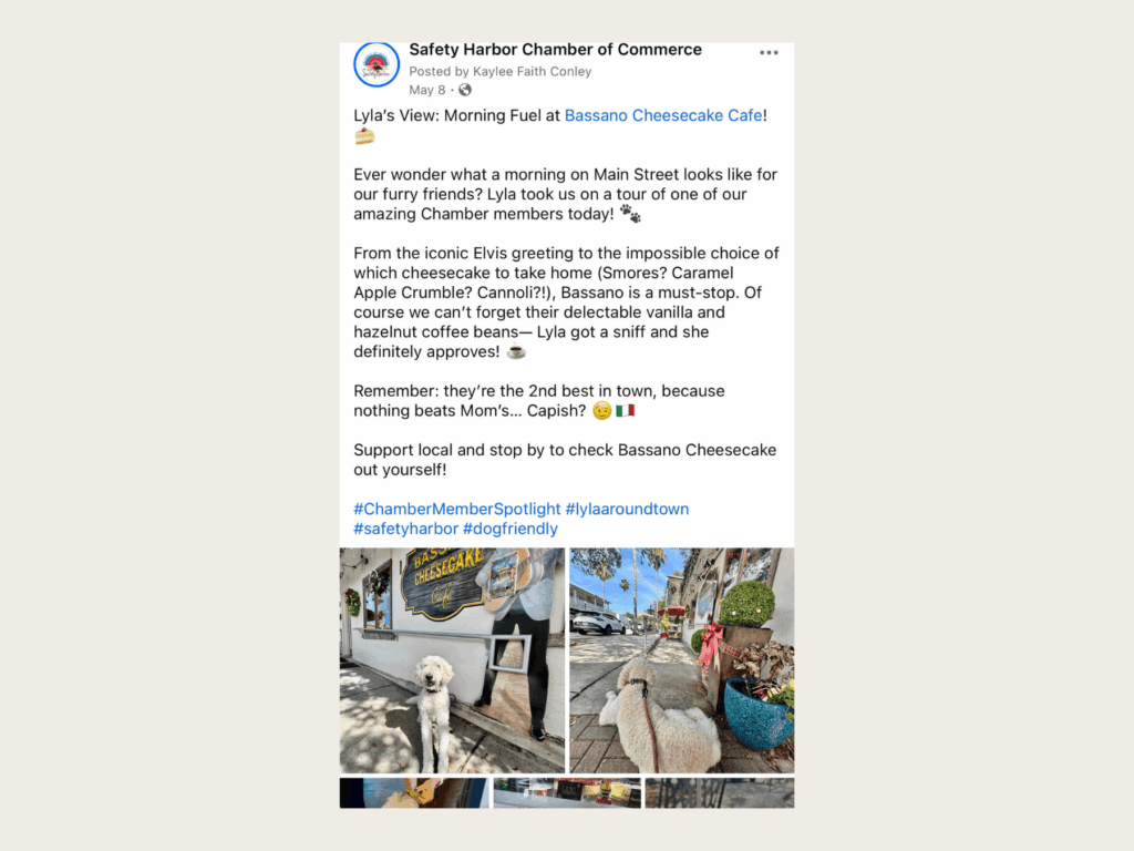High-performing social media post on Safety Harbor Chamber account, managed by Sunstate Studio.