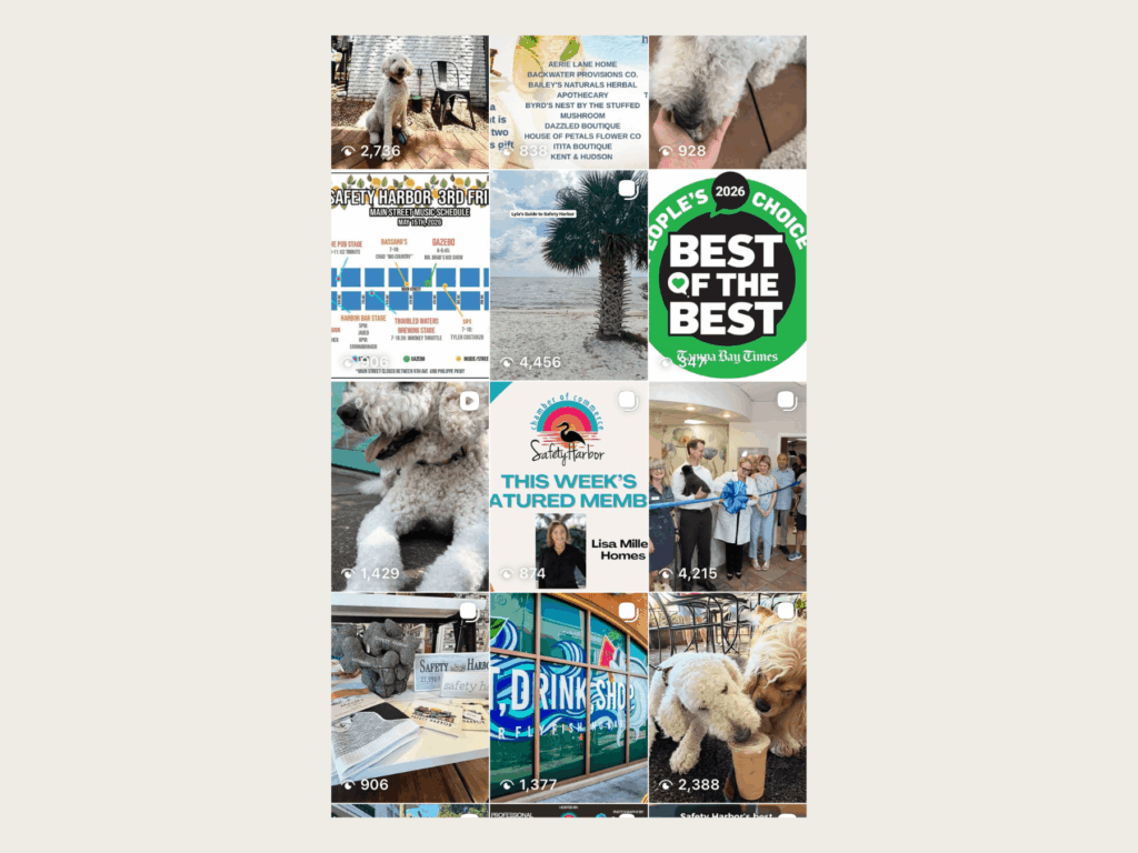 A grid view of the Safety Harbor Chamber of Commerce's Instagram, by Sunstate Studio